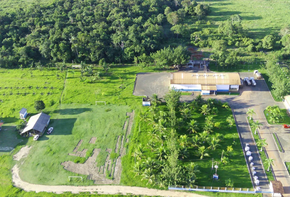 Laticínio-em-santarém-pa